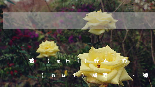 被執(zhí)行人無力償還債務(wù)會(huì)成老賴嗎-被執(zhí)行人無力償還債務(wù)會(huì)成老賴嗎怎么辦