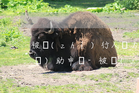 被執(zhí)行人無力償還向法院補(bǔ)助申請-被執(zhí)行人無力償還向法院補(bǔ)助申請書怎么寫
