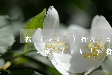 被執(zhí)行人無力償還巨額欠款怎么辦-被執(zhí)行人無力償還巨額欠款怎么辦理