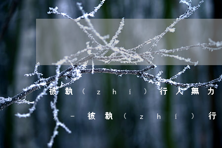 被執(zhí)行人無力償還新規(guī)-被執(zhí)行人無力償還新規(guī)