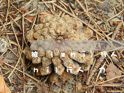 被執(zhí)行人無力償還貸款(被執(zhí)行人無力償還貸款怎么辦)