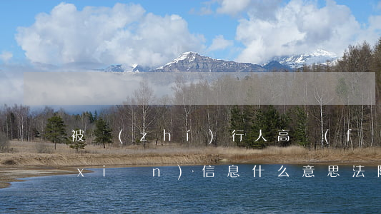被執(zhí)行人高風(fēng)險(xiǎn)信息什么意思(法院高風(fēng)險(xiǎn)名單是什么意思)