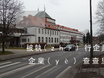 被執(zhí)行企業(yè)是什么情況(企業(yè)查查里面被執(zhí)行人是啥意思)