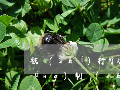 被執(zhí)行可以不去法院嗎(強(qiáng)制執(zhí)行時(shí)被告本人不在,能執(zhí)行嗎?)