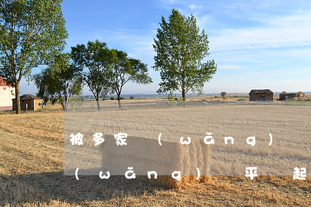 被多家網(wǎng)貸平臺起訴(被多家網(wǎng)貸平臺起訴)