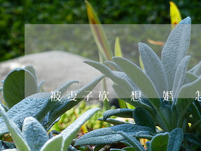 被妻子砍傷想離婚該怎么辦