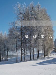 被娘家人知道离婚(离了婚在娘家也是外人)