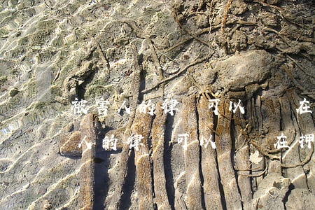 被害人的律師可以會見在押的被告人嗎(被害人的律師可以會見在押的被告人嗎)