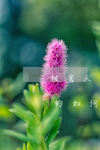 被害人陳述的被盜財物與被告人供述不一致的如何認(rèn)定