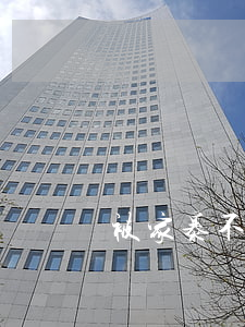 被家暴不想離婚該怎么辦