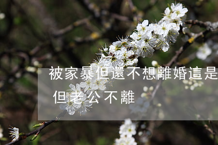 被家暴但還不想離婚這是為什么(家暴想離婚但老公不離)