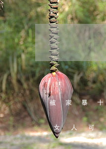 被家暴十幾年也不愿離婚的女人(被家暴過的女人可娶嘛)