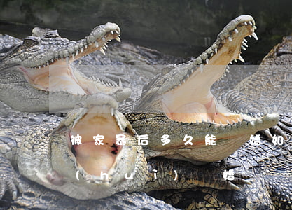被家暴后多久能離婚(如果家暴了怎么處理會(huì)離婚嗎)