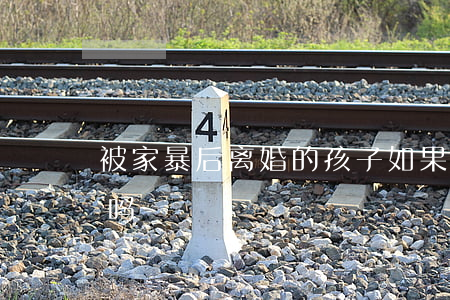 被家暴后离婚的孩子(如果遭遇家暴选择离婚吗)