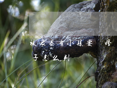 被家暴有小孩要離婚嗎(如果男方家暴離婚孩子怎么判)