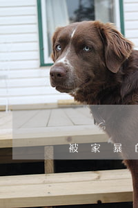 被家暴的女人要离婚怎么办