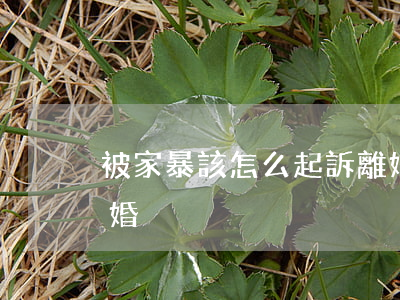 被家暴該怎么起訴離婚(被家暴該怎么起訴離婚)