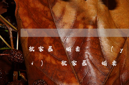 被家暴離婚要給撫養(yǎng)費(fèi)嗎(被家暴離婚要給撫養(yǎng)費(fèi)嗎)