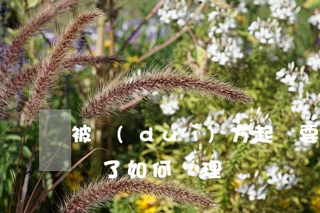 被對(duì)方起訴要怎樣處理(被法院起訴了如何處理)