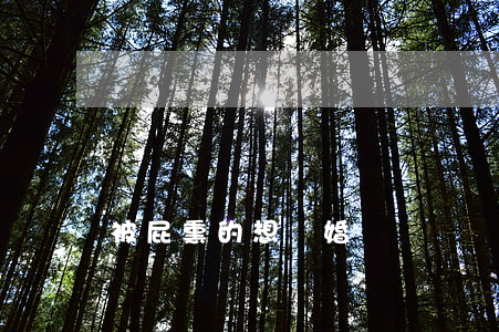 被屁熏的想離婚
