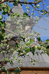 被工廠辭退怎么找律師(在工廠被解雇怎么理賠)