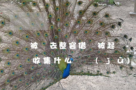 被帶去整容借錢被起訴-整容被騙貸款可以收集什么證據(jù)報(bào)警