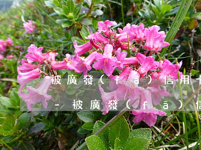 被廣發(fā)信用卡起訴惡意透支怎么辦-被廣發(fā)信用卡起訴惡意透支怎么辦呢