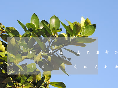 被建行起訴怎么看什么時(shí)候開(kāi)庭(被建行起訴后沒(méi)有協(xié)商成功,法院會(huì)怎么判決)
