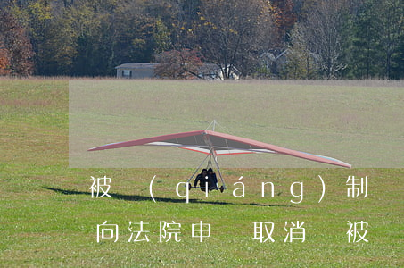 被強(qiáng)制執(zhí)行可以向法院申請取消嗎(被強(qiáng)制執(zhí)行可以向法院申請取消嗎)