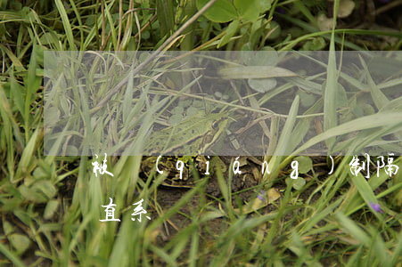 被強(qiáng)制隔離戒毒可以探視非直系親屬嗎