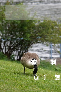 被強制執(zhí)行人無力償還債務(wù)怎么辦-欠款無力償還2023年新規(guī)出來了