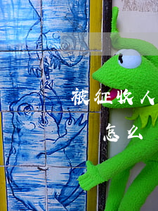被征收人對征地補(bǔ)償安置方案有意見,怎么維權(quán)