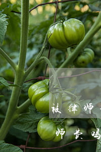 被律师坑了怎么要回律师费(律师失败了给律师费吗)