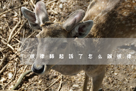 被律師起訴了怎么辦（被律師起訴欠錢）