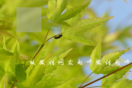 被微信网友起诉 微信起诉别人
