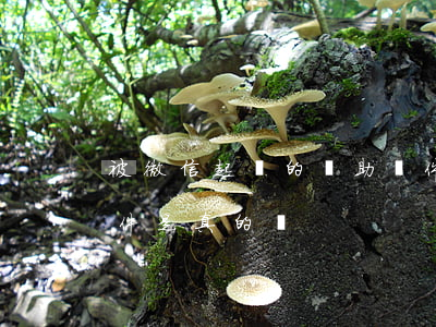 被微信起訴的輔助軟件(被微信起訴的輔助軟件是真的嗎)