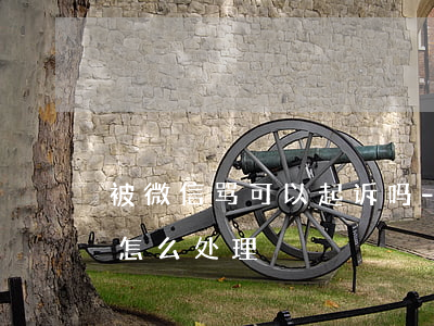 被微信骂可以起诉吗-被微信骂可以起诉吗怎么处理