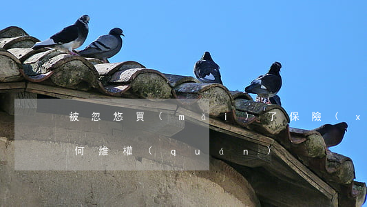 被忽悠買(mǎi)了保險(xiǎn)如何維權(quán)
