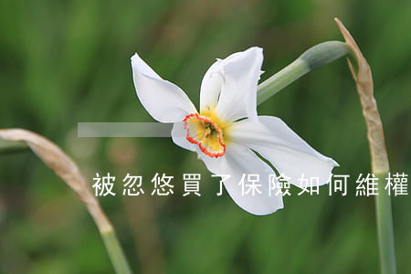被忽悠買了保險如何維權