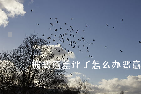被恶意差评了怎么办(恶意差评会有什么后果)