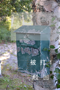被打10年后離婚成功(受打罵40年離婚被駁回)