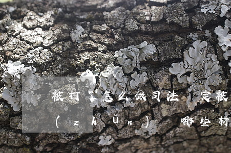 被打了怎么做司法鑒定(被打司法鑒定需要準(zhǔn)備哪些材料)