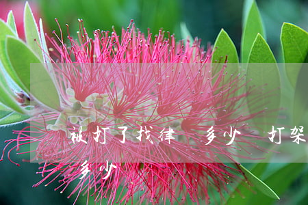 被打了找律師多少錢(打架律師費(fèi)多少錢)