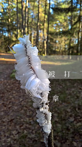 被打了请律师要多少钱(起诉打人者律师费谁拿)