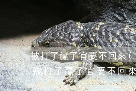 被打了贏了官要不回來(lái)錢怎么辦(被打了贏了官要不回來(lái)錢怎么辦)
