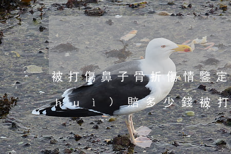 被打傷鼻子骨折傷情鑒定幾級(jí)會(huì)賠多少錢(被打鼻骨骨折能賠多少)