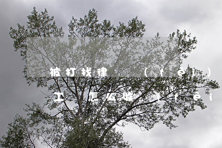 被打找律師費(fèi)用怎么算(請律師打工傷怎么收費(fèi))