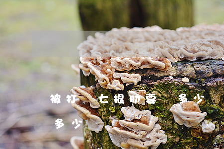 被打斷七根肋要賠多少錢(斷了4根肋骨要賠多少錢)