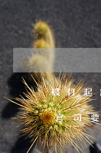 被打起訴請(qǐng)律師多少錢(起訴打官司要多少錢)