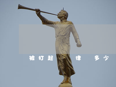 被打起訴請律師多少錢(請律師起訴要多少錢)